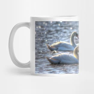 Mute Swans Swimming Mug